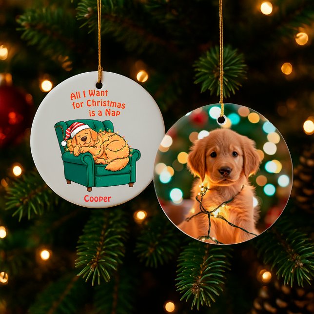 Ornement de Noël de chien drôle - Photo de compagn (Créateur téléchargé)