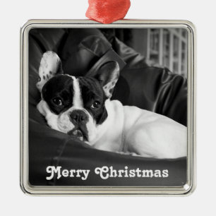 Ornement de Noël de Chien-taureaux français person