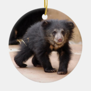Ornement de Noël de CUB d'ours de paresse