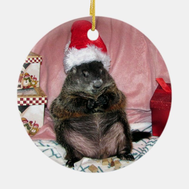 Ornement de Noël de Groundhog d'animal familier de (Dos)