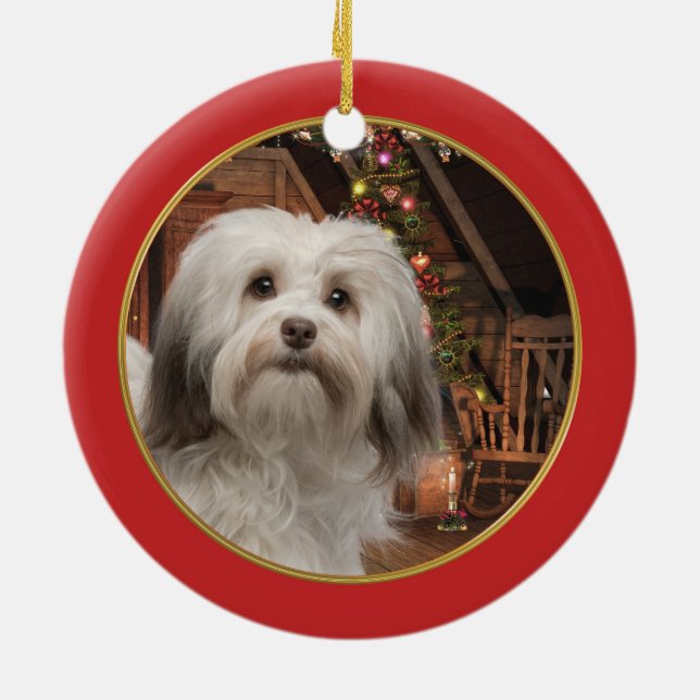 Ornement de Noël de Havanese (Dos)