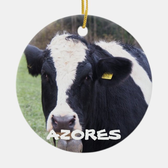 Ornement de Noël de la baleine à vaches Açores (Devant)