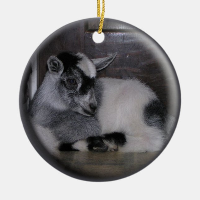ORNEMENT DE NOËL DE LA CHÈVRE GREY/WHITE DE BÉBÉ (Devant)