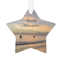 Ornement de Noël de la Floride