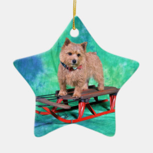 Ornement de Noël de Norwich Terrier