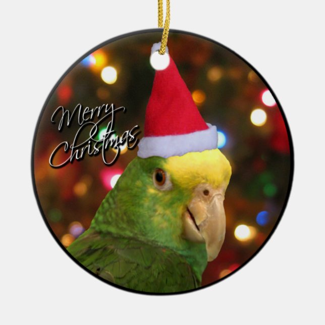Ornement de Noël de Père Noël DYH Amazone (Devant)