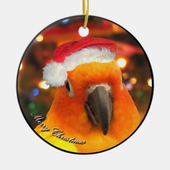 Ornement de Noël de Père Noël Sun Conure (Devant)