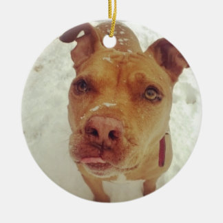 Ornement de Noël de pitbull