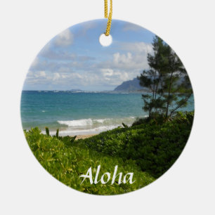 Ornement de Noël de plage hawaïenne