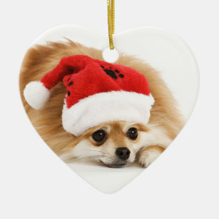Ornement de Noël de Pomeranian
