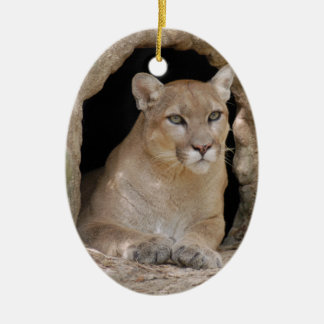 Ornement de Noël de puma