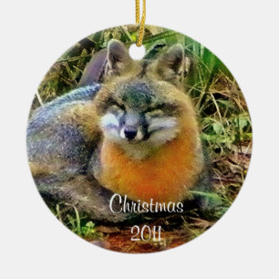 Ornement de Noël de renards de sommeil