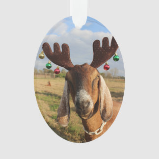 Ornement de Noël de renne de Nubian