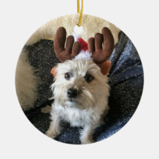 Ornement de Noël de "renne" de Terrier de cairn