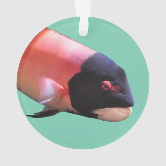 Ornement de Noël de Sheepshead (dos)
