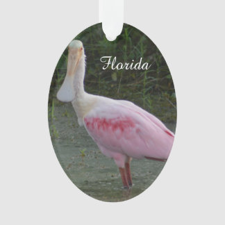 Ornement de Noël de spatule rose de la Floride