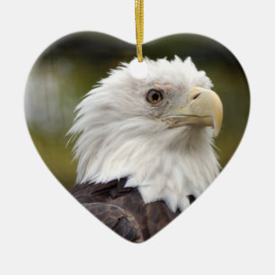 Ornement de Noël d'Eagle chauve