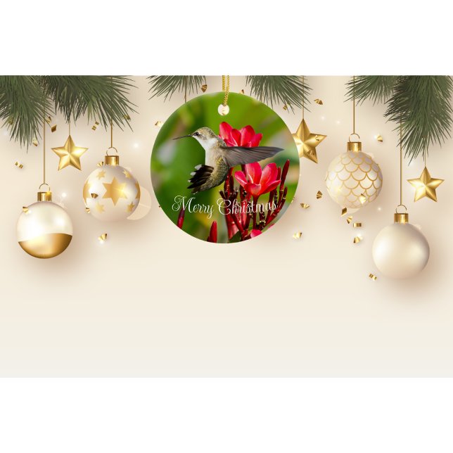 Ornement de Noël des colibris (Créateur téléchargé)