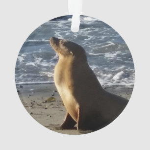 Ornement de Noël d'otarie