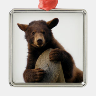 Ornement de Noël d'ours Brown