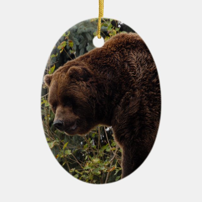 Ornement de Noël d'ours gris (Devant)