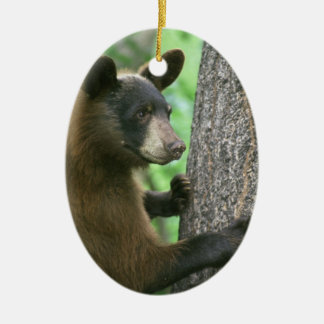 Ornement de Noël d'ours noir