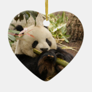 Ornement de Noël d'ours panda