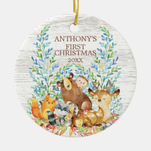 Ornement de Noël du bébé d'animaux de région