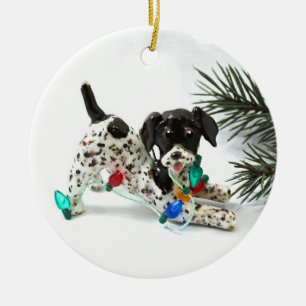 Ornement de Noël du chien de pointer à cheveux cou