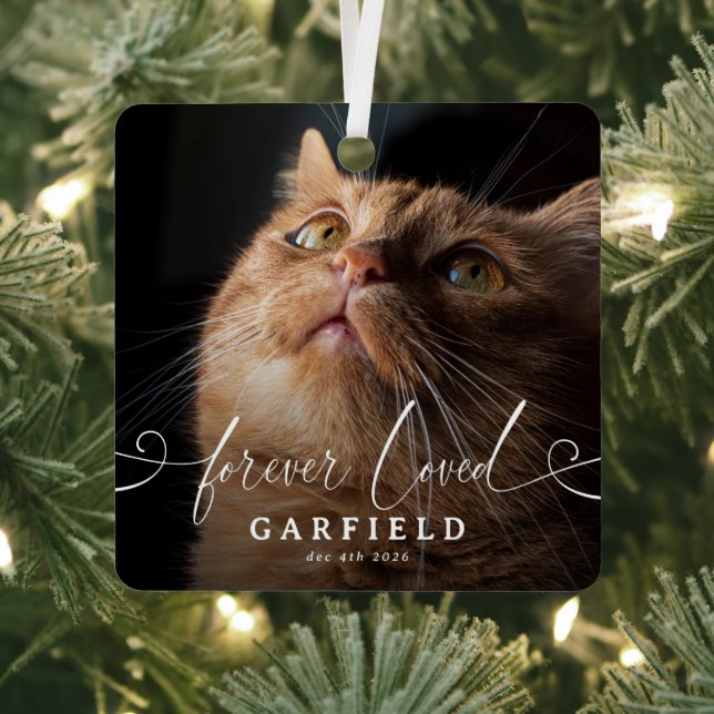 Ornement de Noël élégant pour mémorial de chat (Insitu)