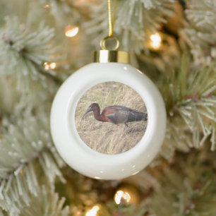 Ornement de Noël en céramique Boule Oiseau Ibis Br