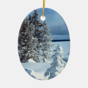 Ornement de Noël Modèle photo d'hiver