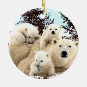 Ornement de Noël - Ours polaires