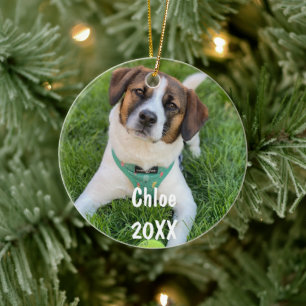 Ornement de Noël personnalisé avec photo de l'anim