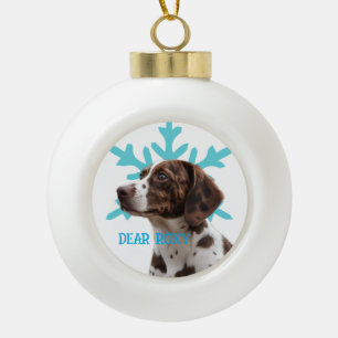Ornement de Noël personnalisé pour animal de compa