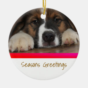 Ornement de Noël personnalisé pour animal de compa