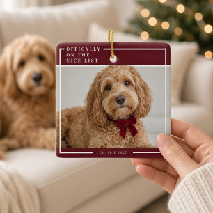 Ornement de Noël photo de chien Bourgogne Liste Ag