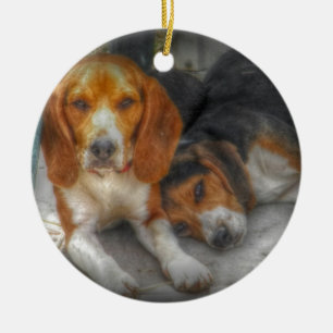 Ornement de Noël pour amateur d'animaux