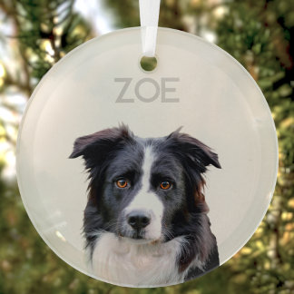 Ornement de Noël pour animal de compagnie en verre