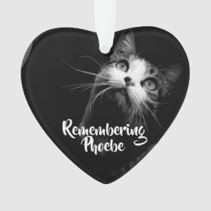 Ornement de Noël Se souvenir de votre chat