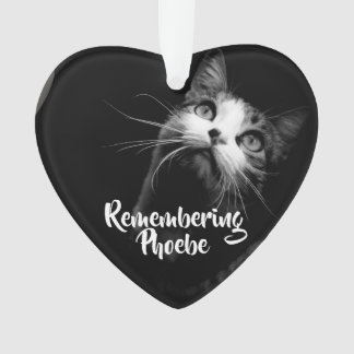 Ornement de Noël Se souvenir de votre chat