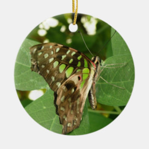 Ornement de papillon vert Iridescente tropicale