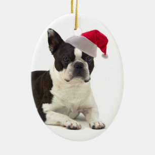 Ornement de Père Noël Boston Terrier