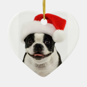 Ornement de Père Noël de chien de Boston Terrier
