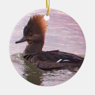 Ornement de photo de canard