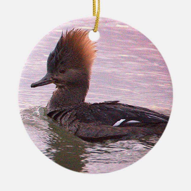 Ornement de photo de canard (Devant)