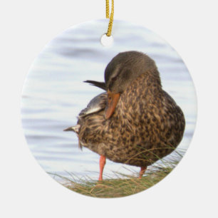 Ornement de photo de canard