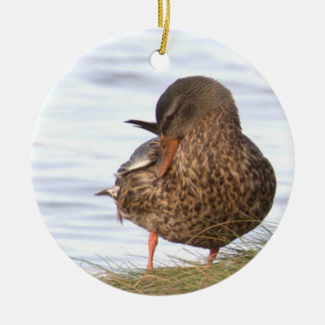 Ornement de photo de canard (Devant)