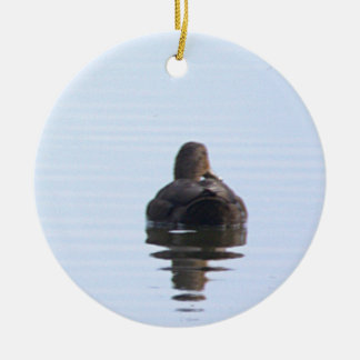 Ornement de photo de canard