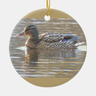 Ornement de photo de canard colvert 
